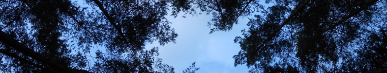 Banner profilu