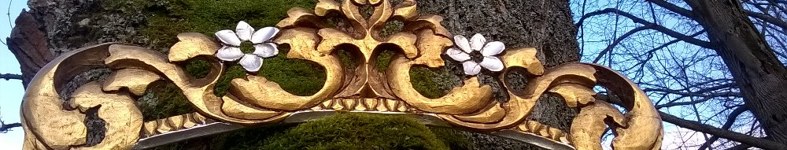 Banner profilu