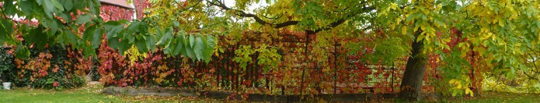Banner profilu