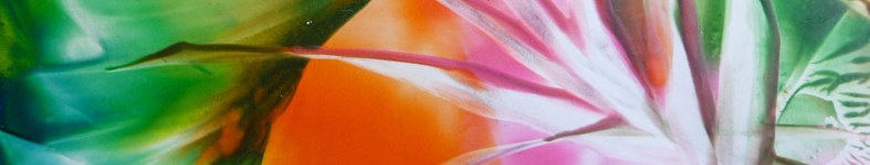Banner profilu