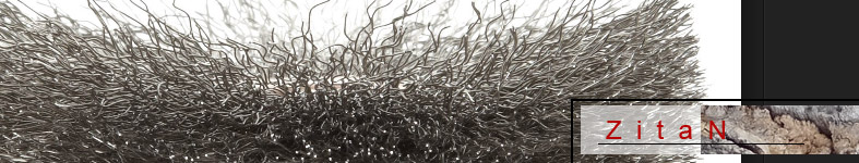 Banner profilu