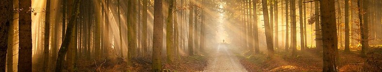 Banner profilu