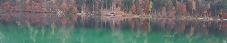 Banner profilu