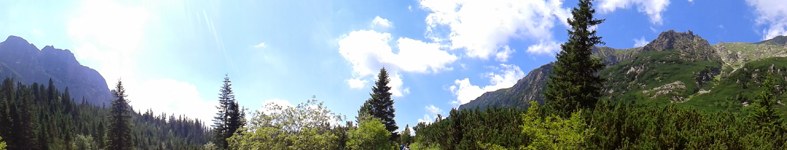 Banner profilu