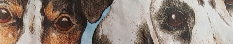 Banner profilu