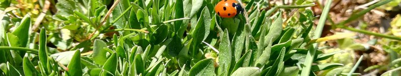 Banner profilu