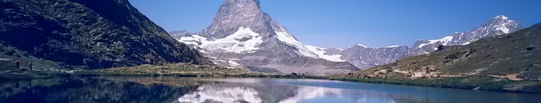 Banner profilu