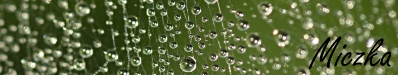 Banner profilu