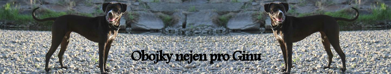 Banner profilu