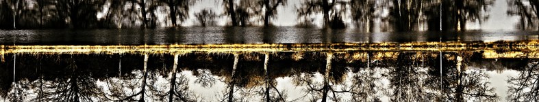Banner profilu