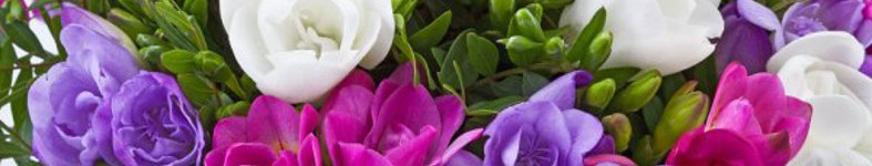 Banner profilu