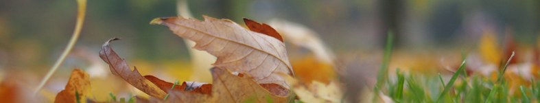 Banner profilu