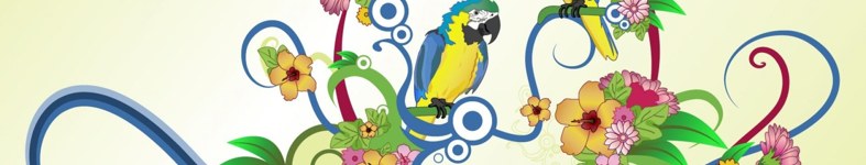 Banner profilu