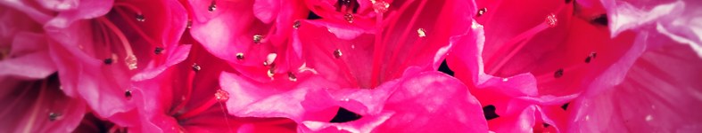 Banner profilu