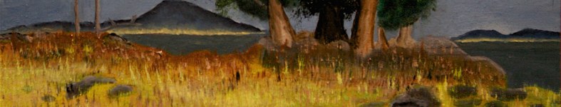 Banner profilu