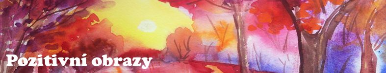 Banner profilu