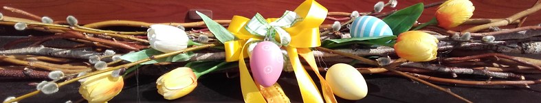 Banner profilu