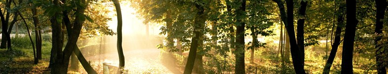Banner profilu