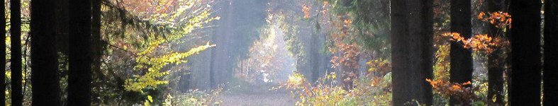 Banner profilu