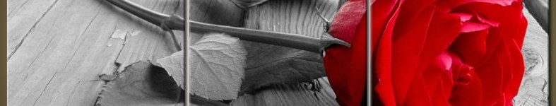 Banner profilu