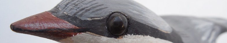 Banner profilu