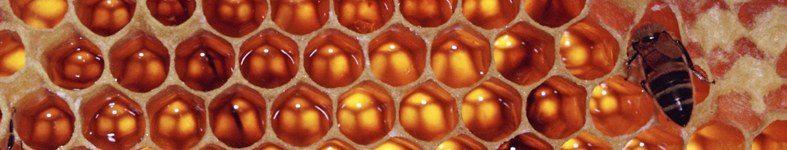 Banner profilu