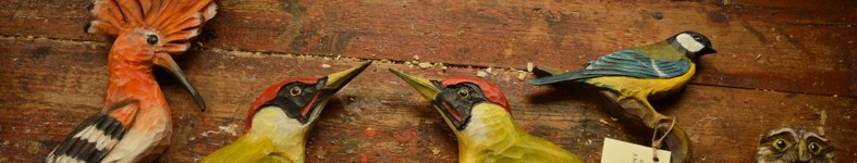 Banner profilu