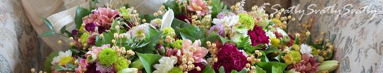 Banner profilu