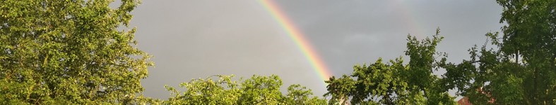 Banner profilu