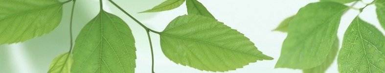 Banner profilu