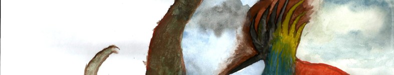 Banner profilu