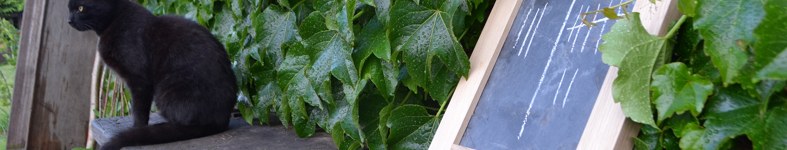 Banner profilu