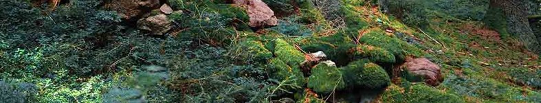 Banner profilu