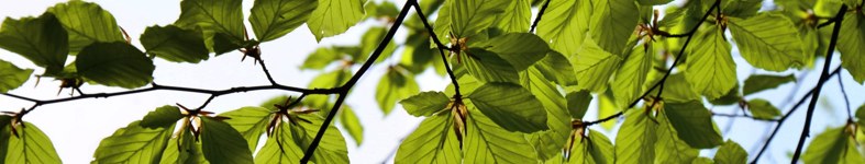 Banner profilu