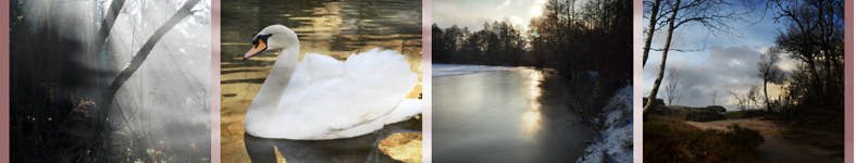 Banner profilu