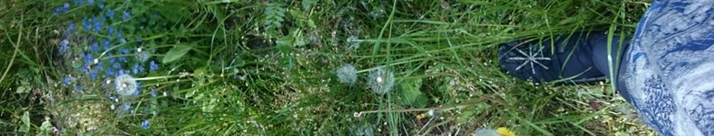 Banner profilu