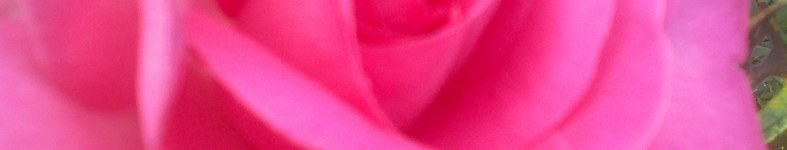 Banner profilu