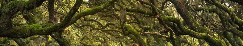 Banner profilu