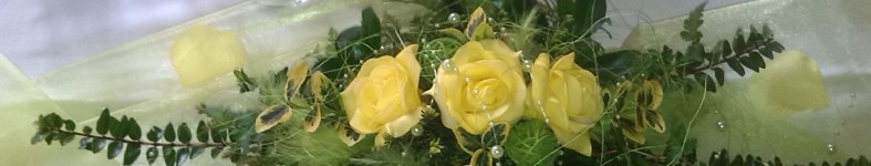 Banner profilu
