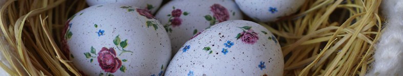 Banner profilu