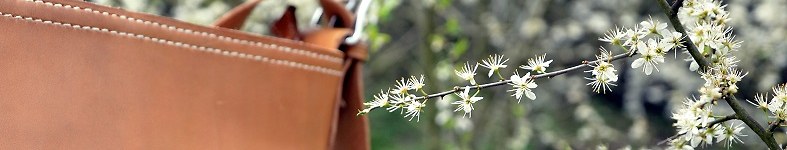 Banner profilu