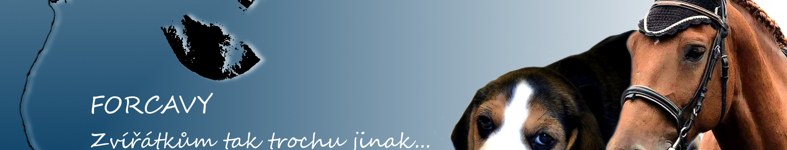 Banner profilu