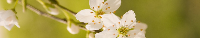 Banner profilu