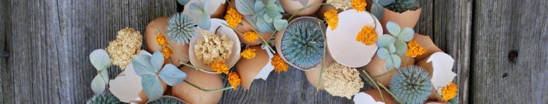 Banner profilu
