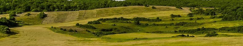 Banner profilu