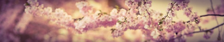 Banner profilu