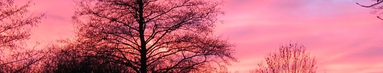 Banner profilu
