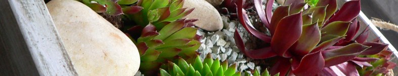 Banner profilu