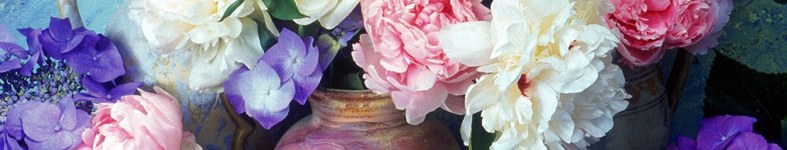 Banner profilu