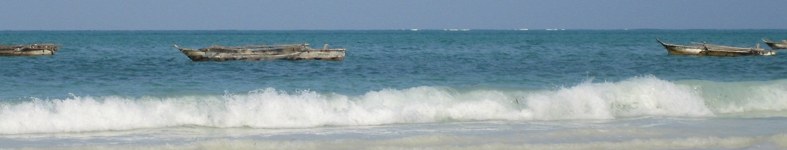 Banner profilu